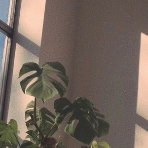 Meet your Posher, Elisa